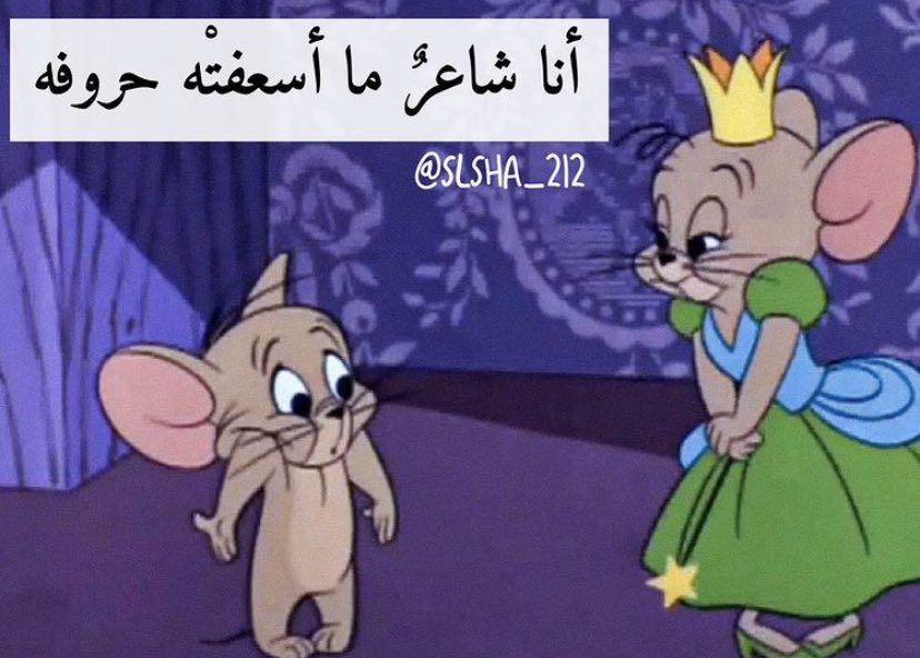 رياكشنات توم وجيري tweet media