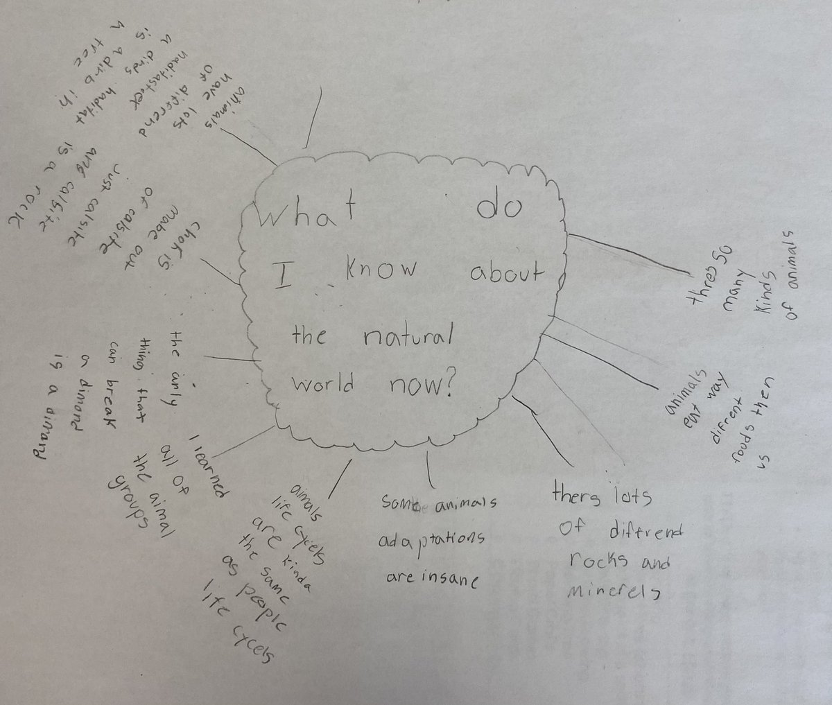MrsChapmans3s's tweet photo. Our learning! #scientists #learners #rvsed #communicatinglearning @NorthcottRVS https://t.co/XI8OVdwmnb