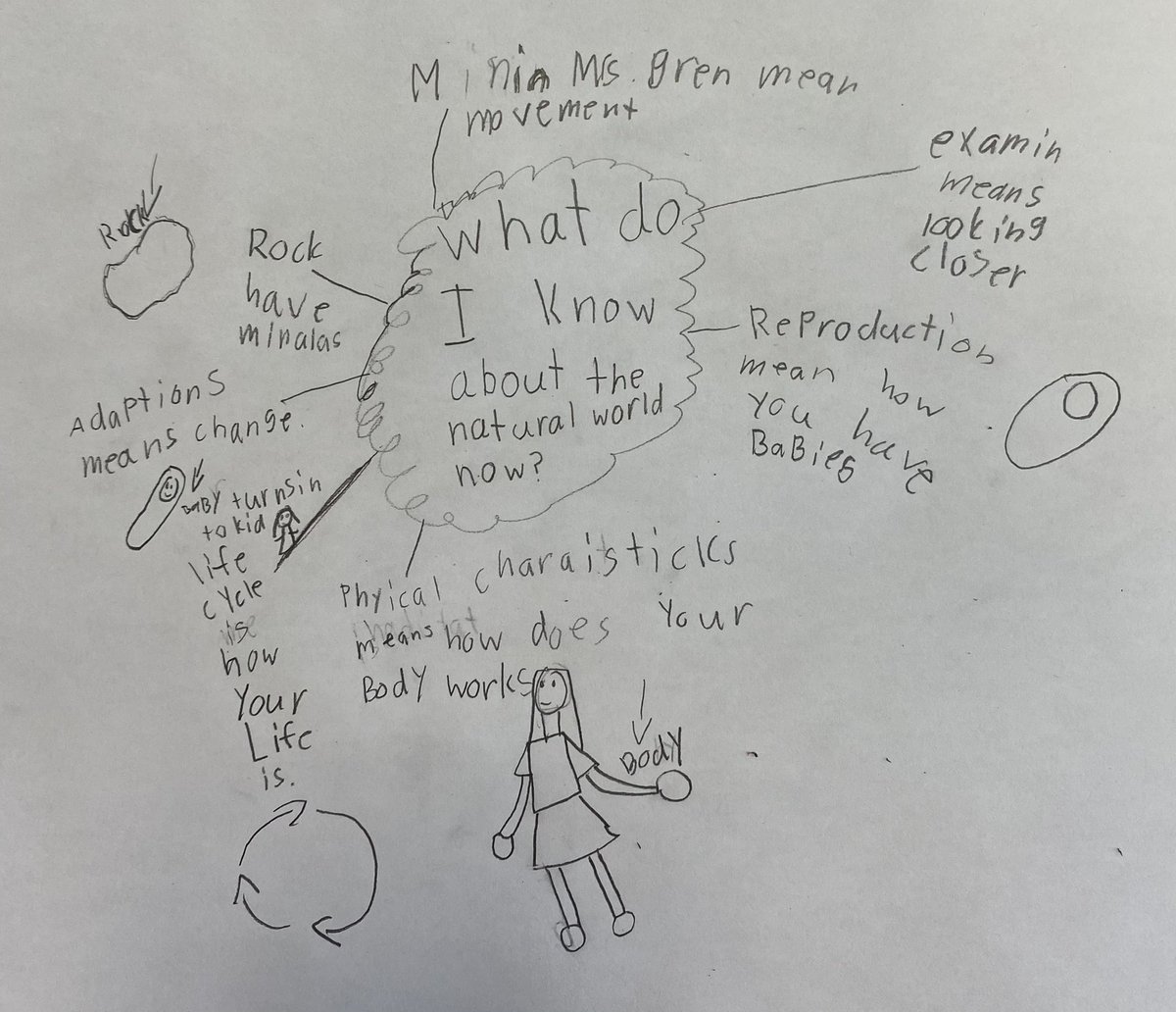 MrsChapmans3s's tweet photo. Our learning! #scientists #learners #rvsed #communicatinglearning @NorthcottRVS https://t.co/XI8OVdwmnb