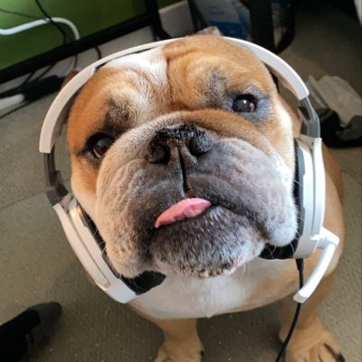 VictoriouSecrt's tweet photo. #NewProfilePic https://t.co/dDcGAcURQo