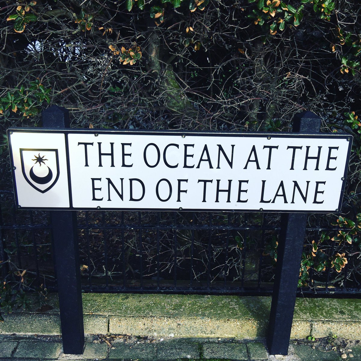 cruise_lowdown's tweet image. I want to live HERE💕💕💕

#missingthesea #missingtheocean