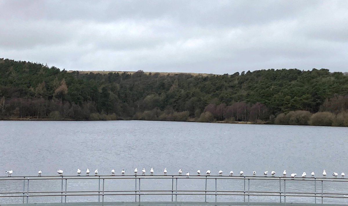 ⁦<a href="/OgdenWater/">Ogden Water Halifax</a>⁩