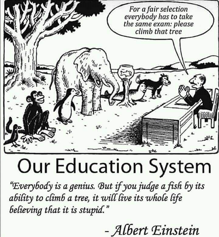 shingularplural's tweet photo. Thanks my good friend Niraj Doshi shares such provocative and enlightening post. UN SDGs 4 recognises the important of #educationforall. Learn, reflect and action. #teachingforall #diversitymatters #inclusive #pedegogy #decolonisingcurriculum #socioeconomicmobility #SDGs https://t.co/TOGEFG1gsx