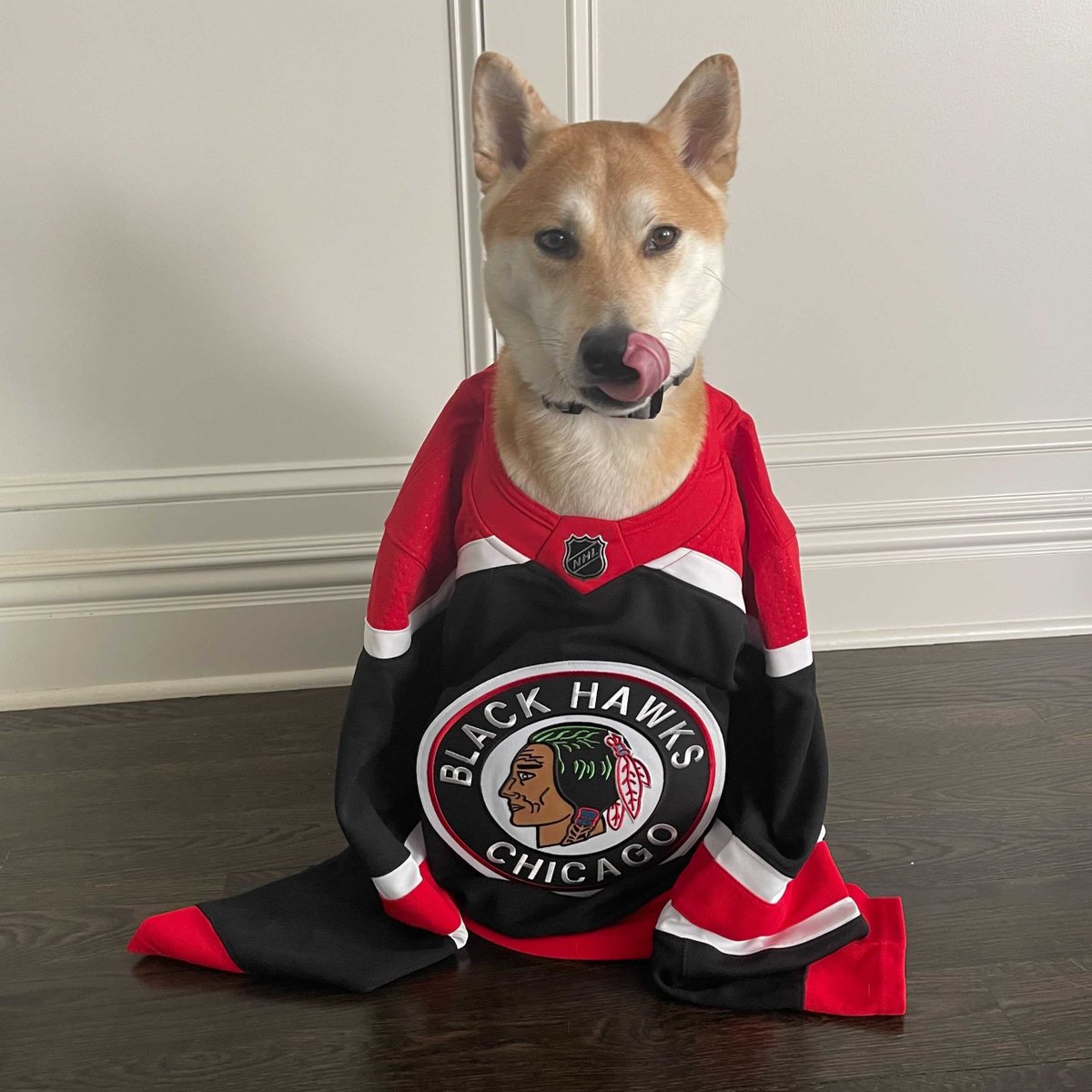 NHLBlackhawks's tweet photo. The most difficult question you’ll answer today: 

Which DeBrindog wore the #ReverseRetro sweater better? 

RT for Team Burt (left) | Like for Team Ralph (right) https://t.co/idp5qGLpc1