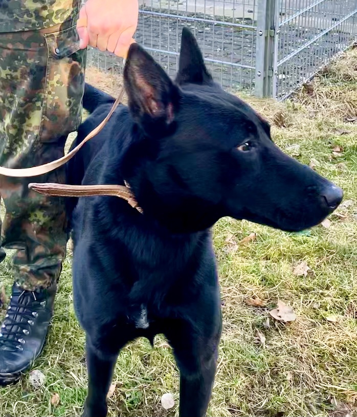 becks2403's tweet photo. Endlich geht’s los! Mit dir an meiner Seite #BlackIsBeautiful https://t.co/eyCW6dmt1J