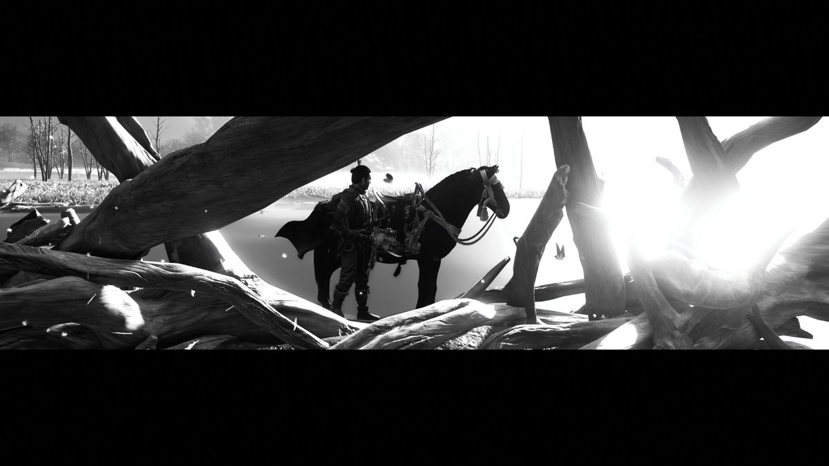 CStorm313's tweet photo. #GhostOfTsushima #PS4share https://t.co/cBZ4gK50xn