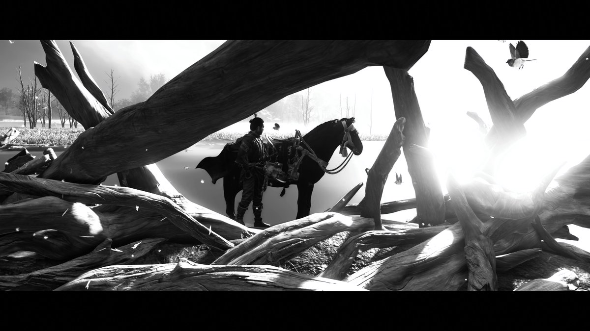 CStorm313's tweet photo. #GhostOfTsushima #PS4share https://t.co/6FVAMFo6S6