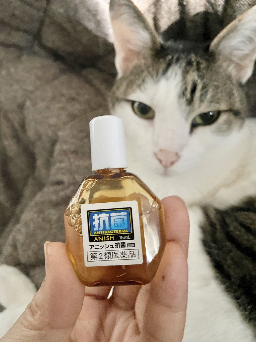 Chocotte ちょこっと V Twitter やだ ここ数日花粉用と思って差してた目薬が抗菌 ものもらい用 だった