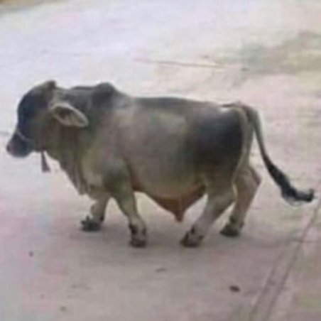 FRIACA 🥶 tweet media