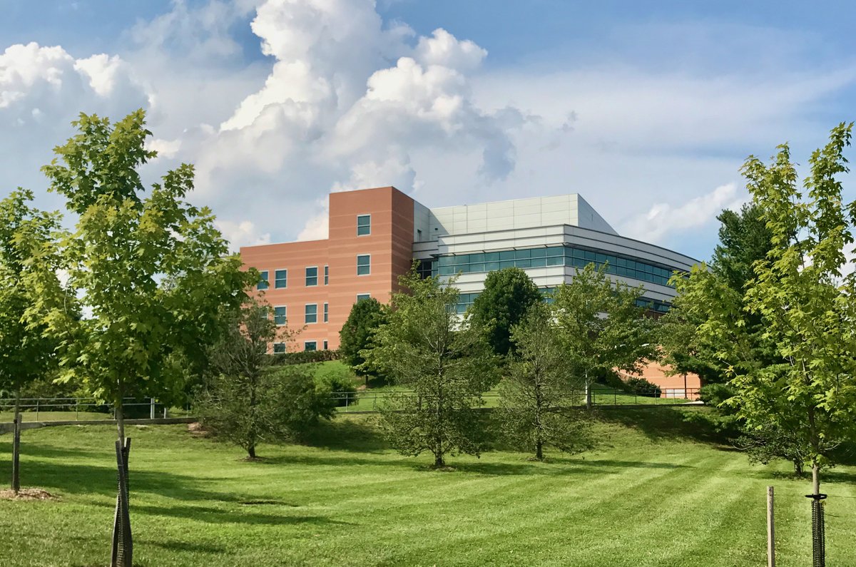 keithjbowman's tweet photo. Thank you to everyone who has contributed to #UMBCcomputing + #UMBCengineering so far! #UMBC #BlackAndGoldRush has over 24 hours to go but we want to have a great evening. https://t.co/RwPRaTzobj https://t.co/jgWlOZGgbh