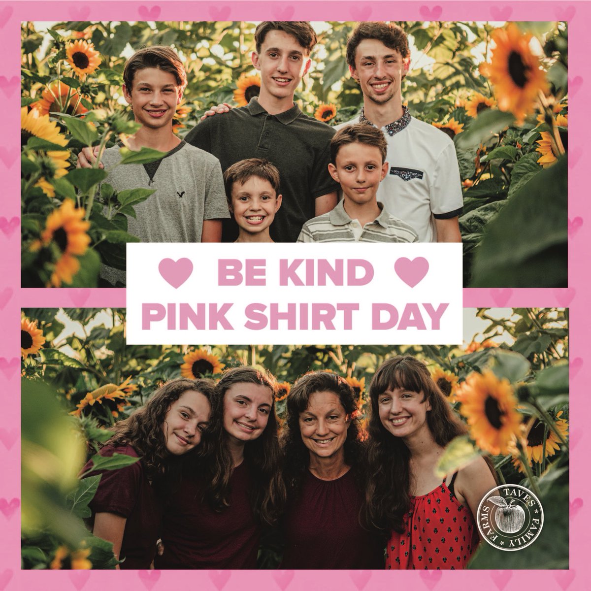 Taves Family Farms Applebarn tweet media