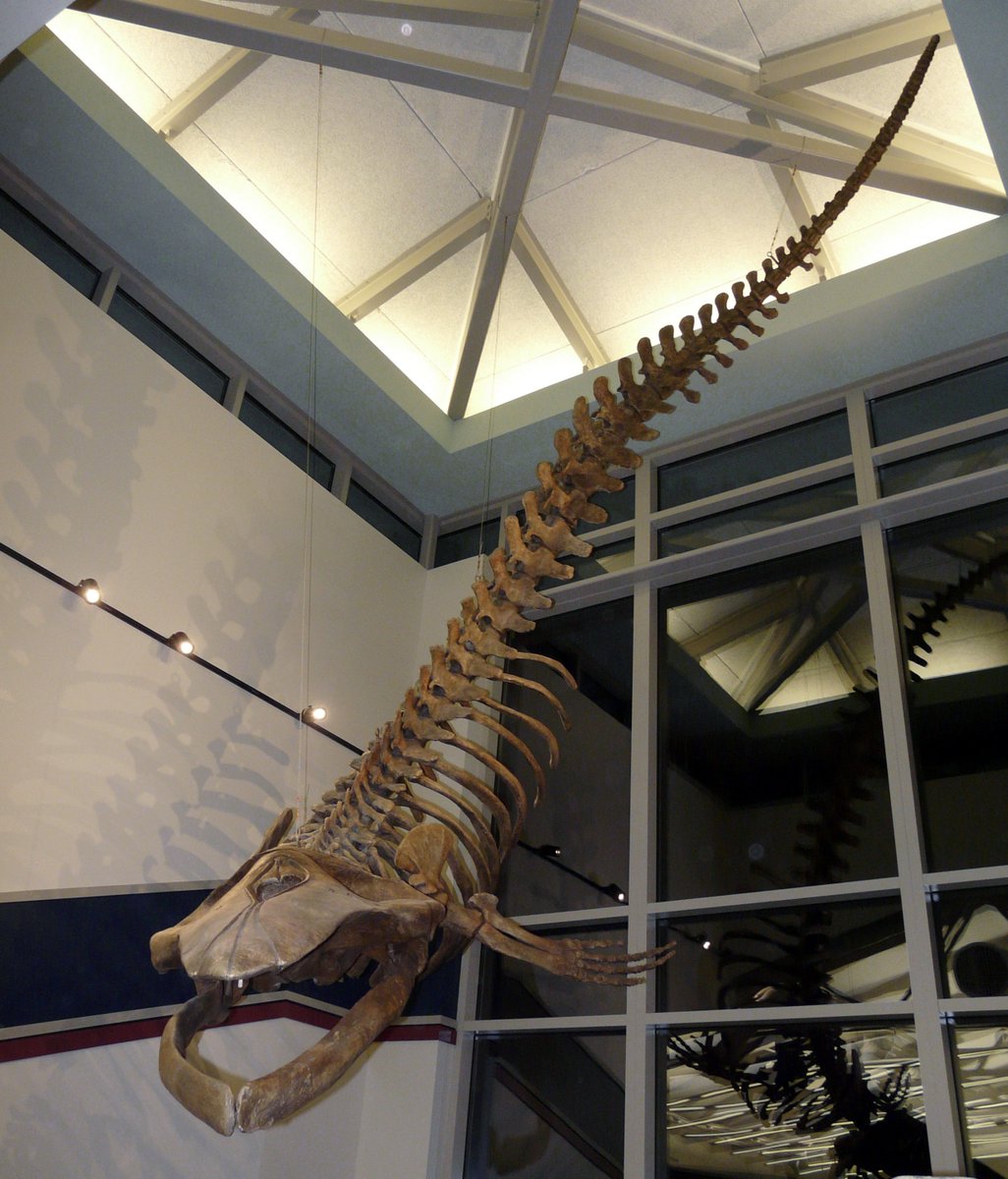 Dr. Alton Dooley 🇺🇦 tweet media