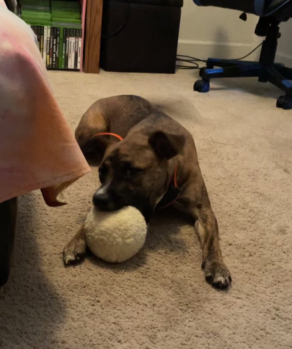 Kate Perry tweet media