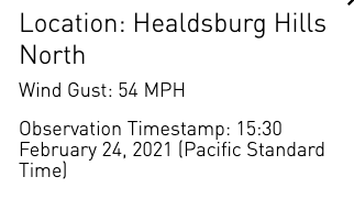 Sarah Stierch 🔥💁🏻‍♀️ 🍷🌮 tweet media