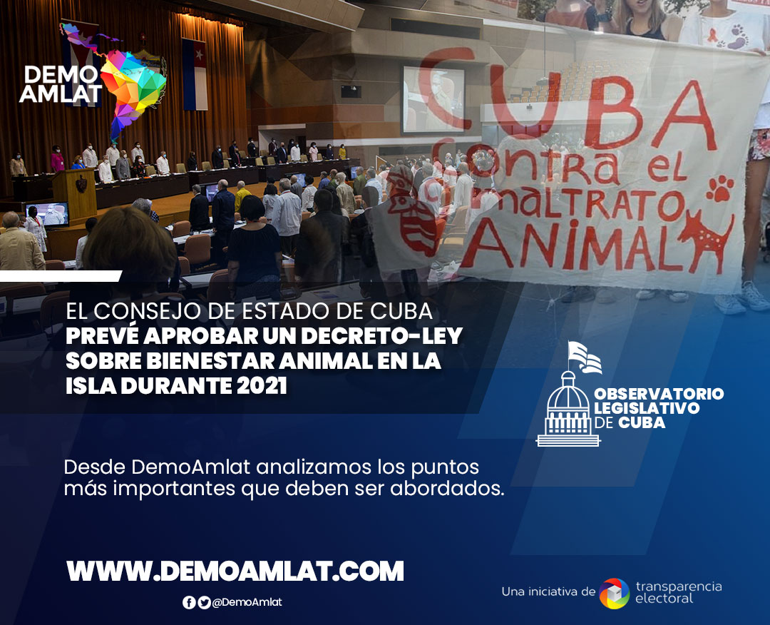DemoAmlat's tweet photo. 🇨🇺⚠️El Consejo de Estado de #Cuba prevé aprobar un Decreto-Ley sobre #BienestarAnimal en la isla durante 2021.

Desde #DemoAmlat analizamos los puntos más importantes que deben ser abordados en este hilo 🧵👇 https://t.co/cY52L6Rmt1