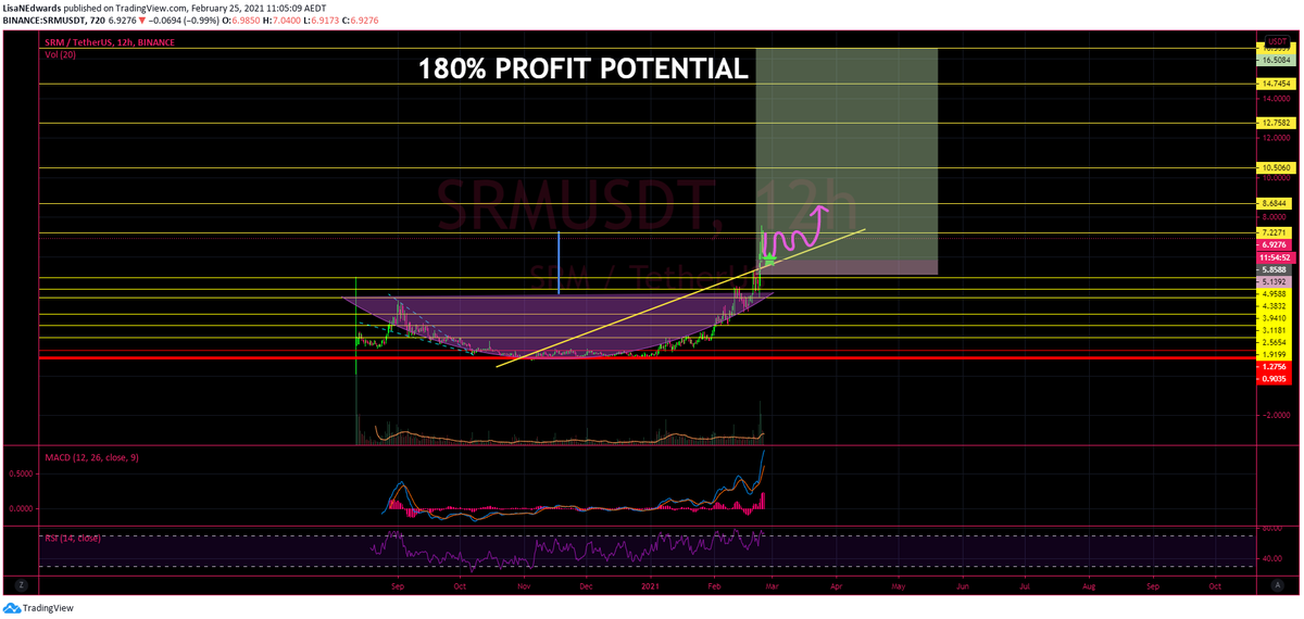 LisaNEdwards's tweet photo. $SRM - 180% PROFIT POTENTIAL 
💰🤑💰🤑💰🤑💰🤑💰🤑 https://t.co/QRpyBQjc8d