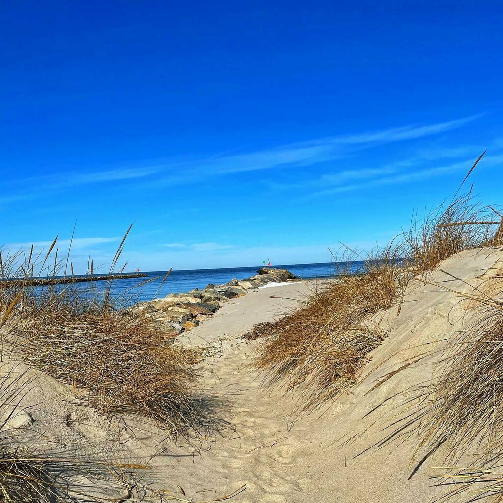 frankruel2's tweet photo. Beautiful blue sky day on the Cape. #coldstoragebeach #capecod #capecodbay #beachday https://t.co/FXPcMPX7qf https://t.co/YfJUfnFift
