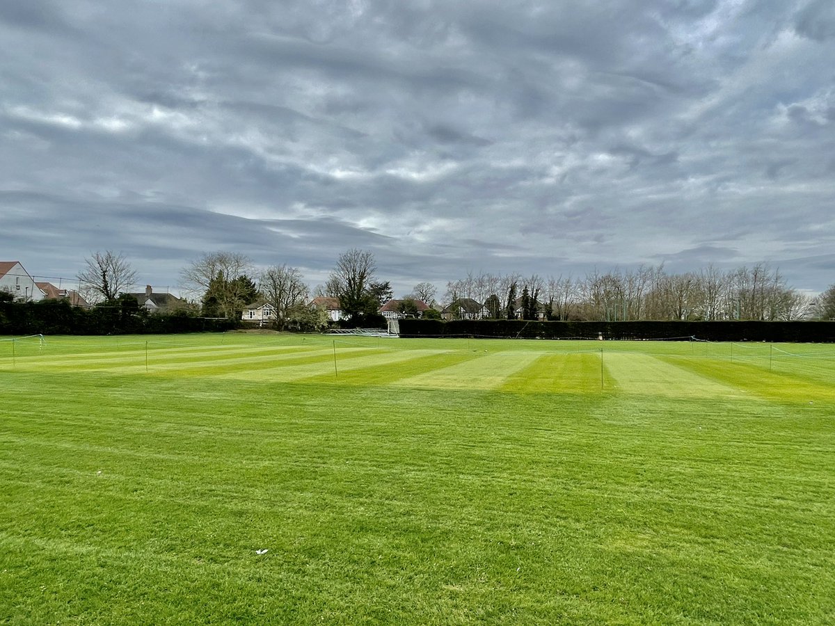 Wycombe House Cricket Club tweet media