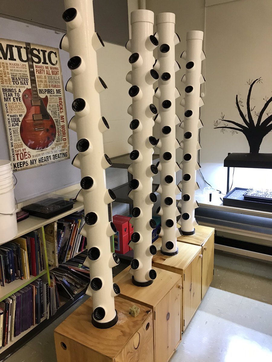Let the Stem(s) begin! An informative hangout with Eric from Grow For You Inc. was a great way to begin our inquiry of how grow towers can impact our classroom air quality <a href="/eganvilleps/">EganvillePS</a> <a href="/LetsTalkScience/">Let's Talk Science</a>