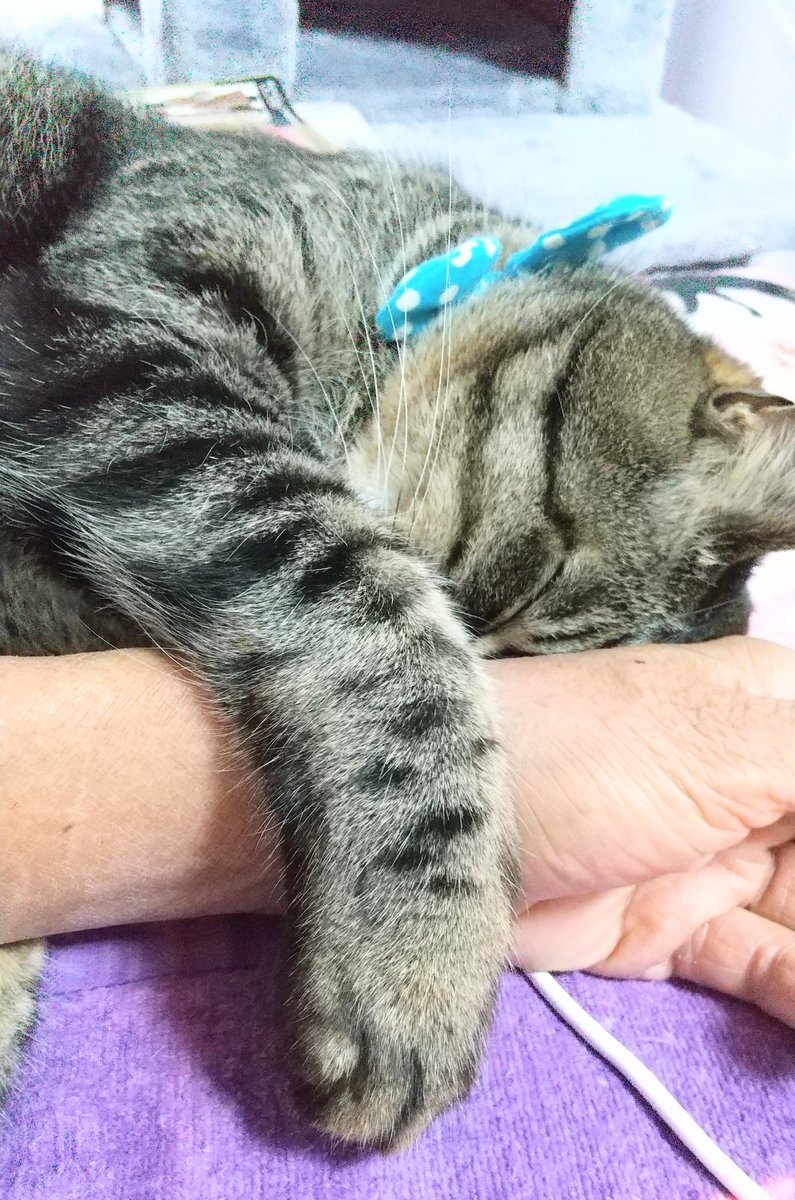 チャンミン Twitterで話題の有名人 リアルタイム更新中