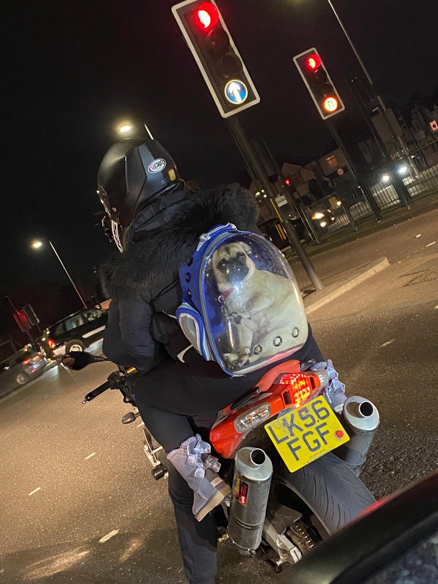 Richard Tipper tweet media