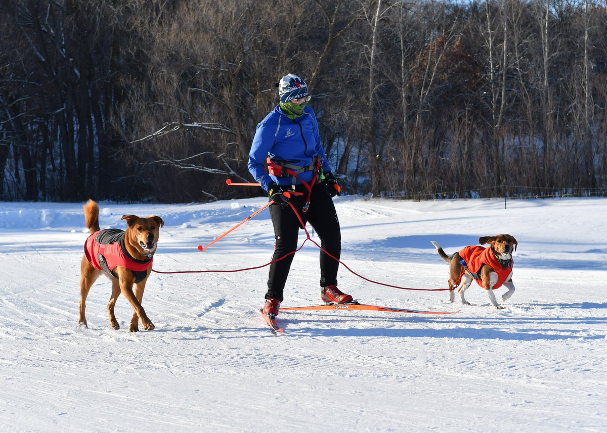 Len Bernstein Photography tweet media