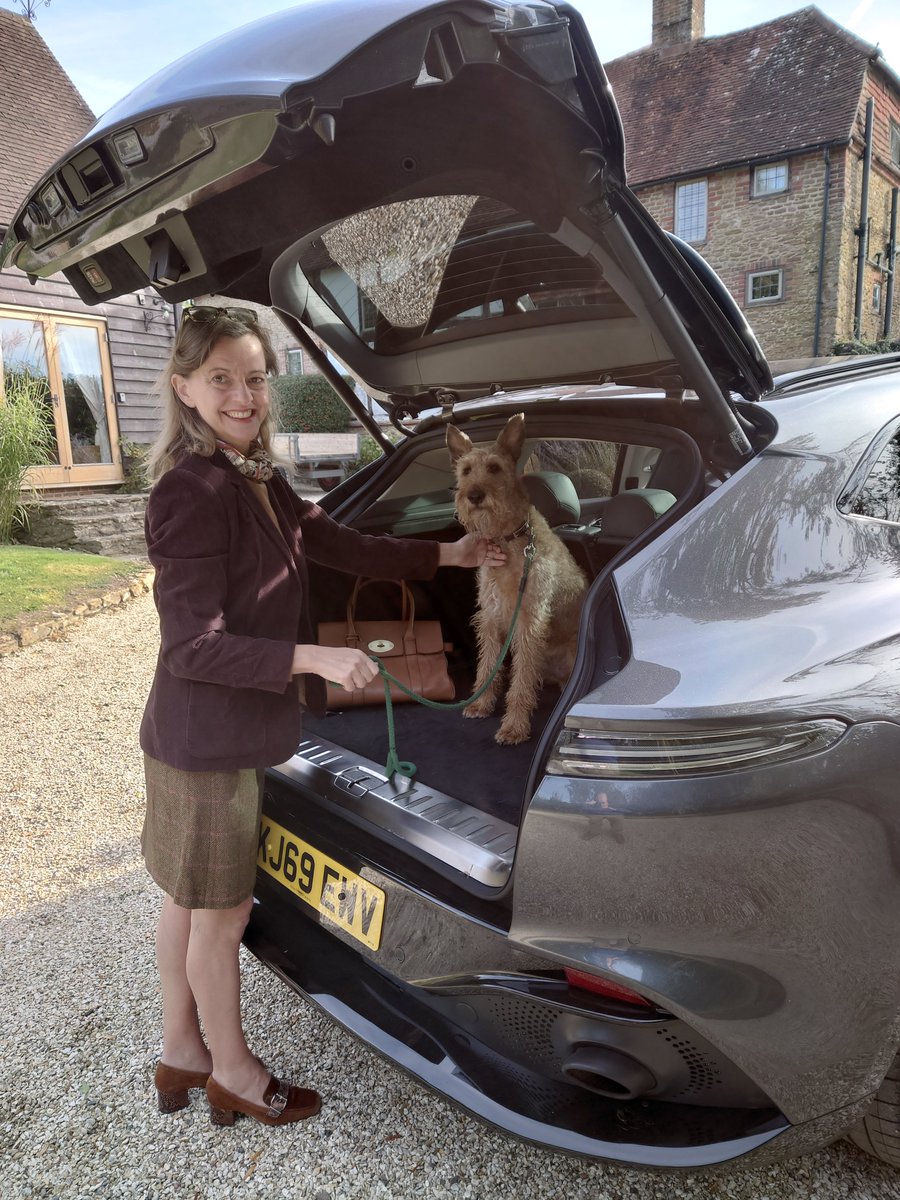 ocrossborder's tweet photo. Aston Martin DBX

#dbxday #AstonMartin #dogs #K9 #luxurycars #luxury #dbx https://t.co/qjj13iBxi0