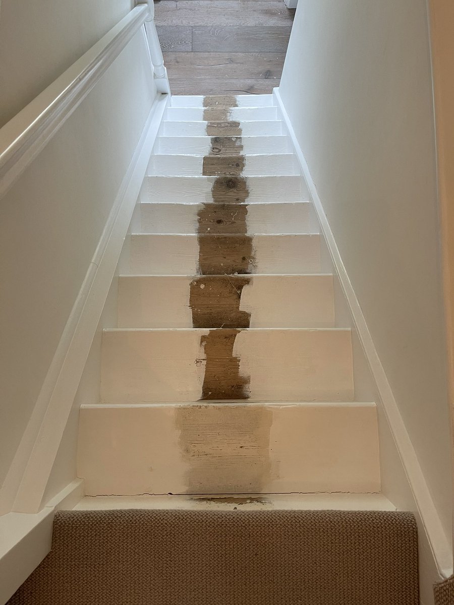 EnduranceFloor1's tweet photo. Another #staircase #transformed! Itβs hard not to make an impact when you have @Roger_OatesUK and @StairrodsUK teaming up to create a simple yet elegant finish! #RogerOates Flaxman Colour Lichen. #Stairrods Country range with Balladeer Finials and an Antique Brass finish! #runner https://t.co/mqJgmVB7Mb