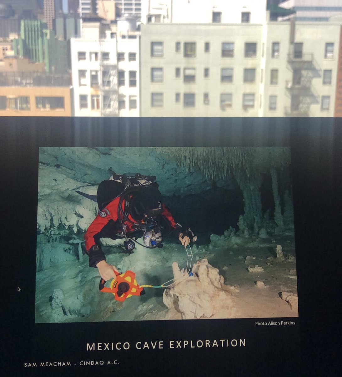 Tuning in live to latest @NautArchSoc #UnderTheWater webinar on “Exploring the Flooded Caves of Mexico’s Yucatán Peninsula” by CINDAQ. #cavearchaeology #cenotes #archaeology #mapping #tech #cavediving #yucatan @honor_frost