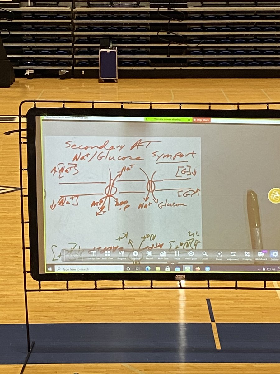 Learned about Na+/Glucose Symport today thanks to Dr. Twigg’s art skills! <a href="/mckennavininski/">McKenna Vininski (she/her)</a> #106Week5MVS21