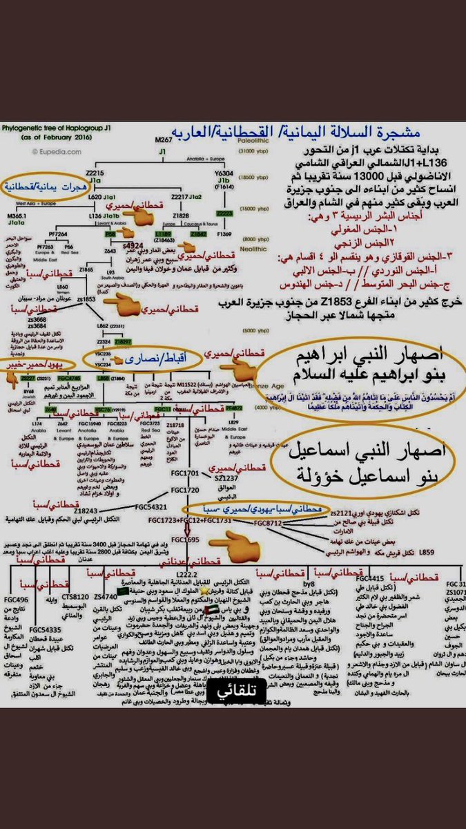 R3C61's tweet photo. @saudiforeverr1 @qahtan553 @m_s_s_ah @aboshug11 @Ayy10000000 @d7my541 @nosh7MqJ65TIE1D @DNA_arab_j1 @Dohaiman2016 @KHALID_75458 @KKAw743YounFMkN @qp_qp96 @ffffwey @ss_sc1 @alhothly7 @20250Ad @Ali_Elhibri32 دور على جدك في j2 يازباله https://t.co/tBbxuvcZHQ