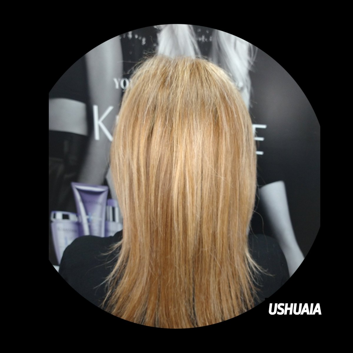 USHUAIAPELU's tweet photo. French Balayage, la elegancia y sutileza francesa. Una fusión de 3 tonos para dar más naturalidad en el crecimiento. Además matización y tratamiento intensivo con Blond Absolu. Gracias por tu confianza en PELUQUERÍA USHUAIA 🥰. #amurrio #midibob #blondeice #blondehair #fusiodose https://t.co/xXkm3oB1Da