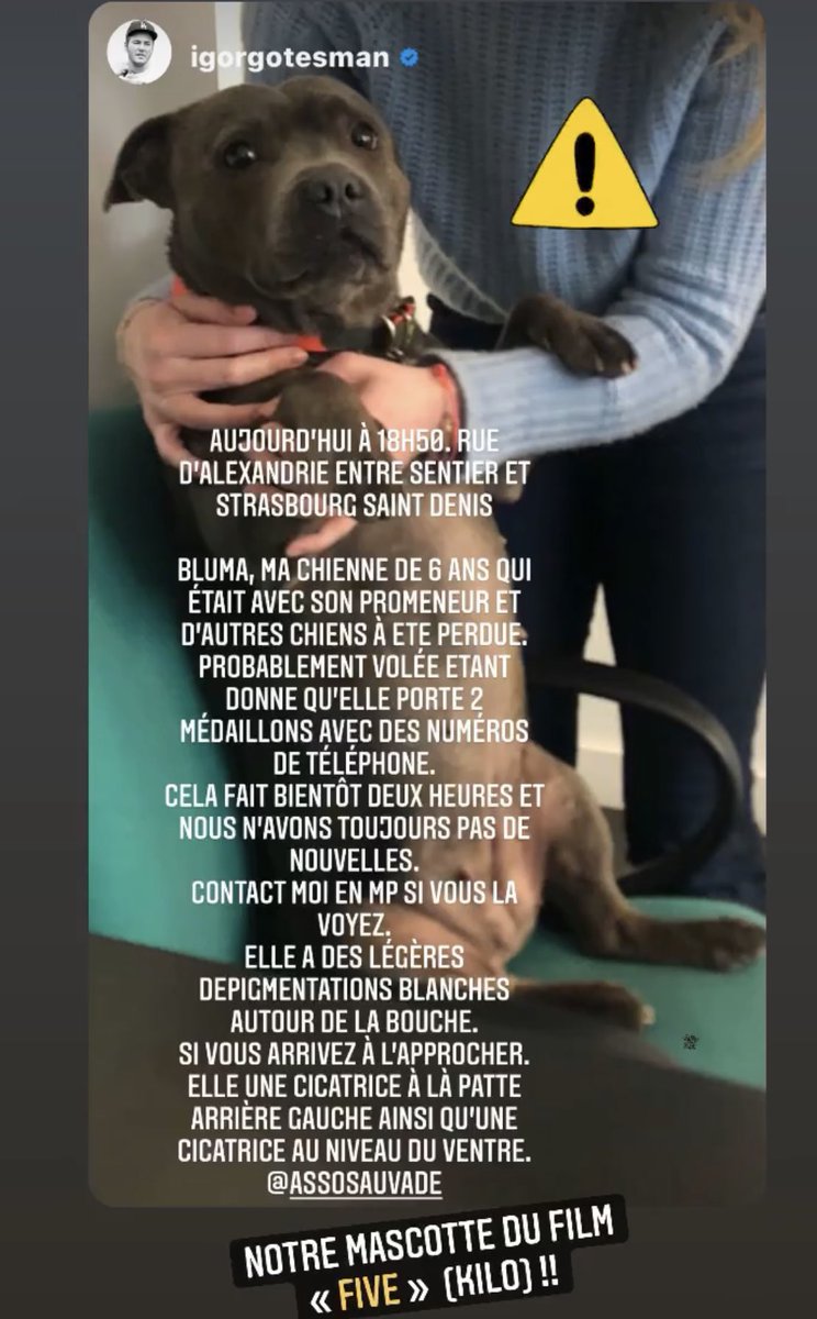 RT bienvenus pour aider 🙏