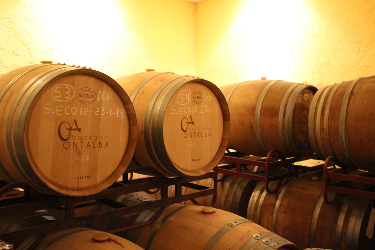 Ontalba_'s tweet photo. En la bodega de crianza de @Ontalba_ terminan nuestros vinos en madera de roble francés, aguardando a ser los grandes manjares que disfrutamos en nuestras mesas 🍷🍷

#SomosOntalba #OntalbaBodega #BodegasOntalba #Ontur #Albatana https://t.co/vD4gnpFAqT