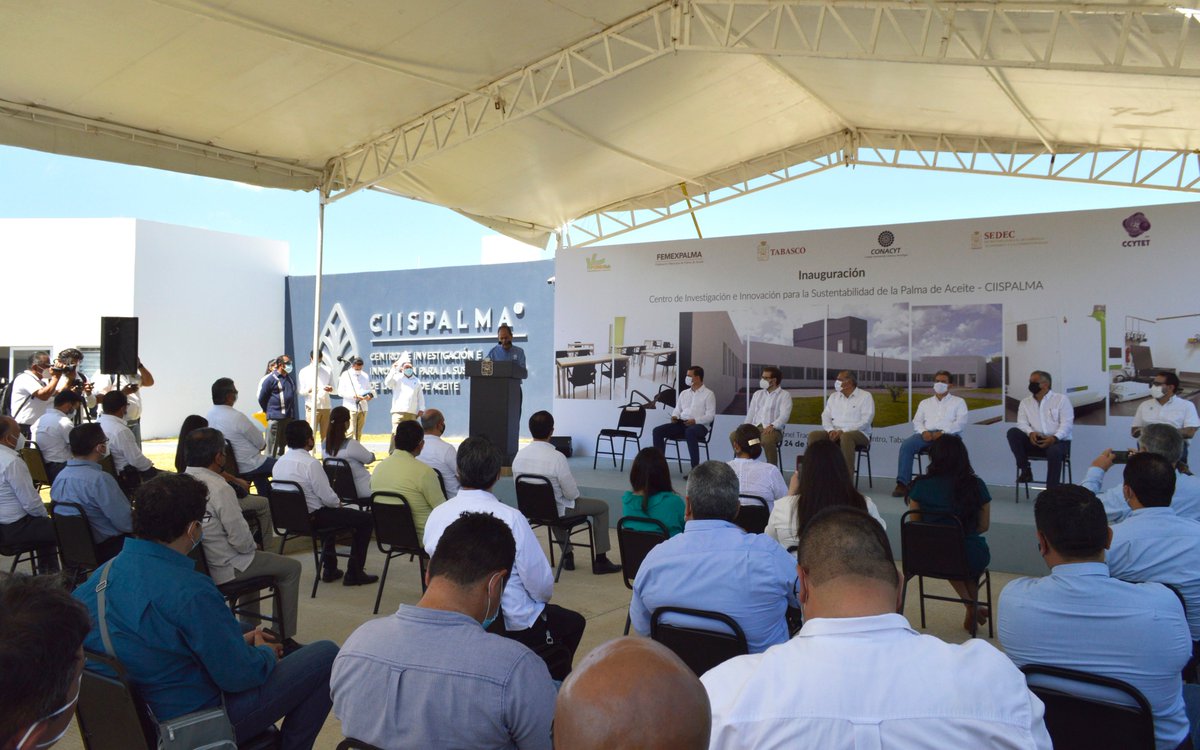ccytet's tweet photo. "El Centro de Investigación e Innovación para la Sustentabilidad de la Palma de Aceite (CIISPALMA), es una oportunidad para Tabasco, para proponer y desarrollar proyectos de ciencia y tecnología de alta calidad, y pertinente a la realidad del Estado”
#CCYTET #FOMIX #CONACYT https://t.co/7CCUabbsNt