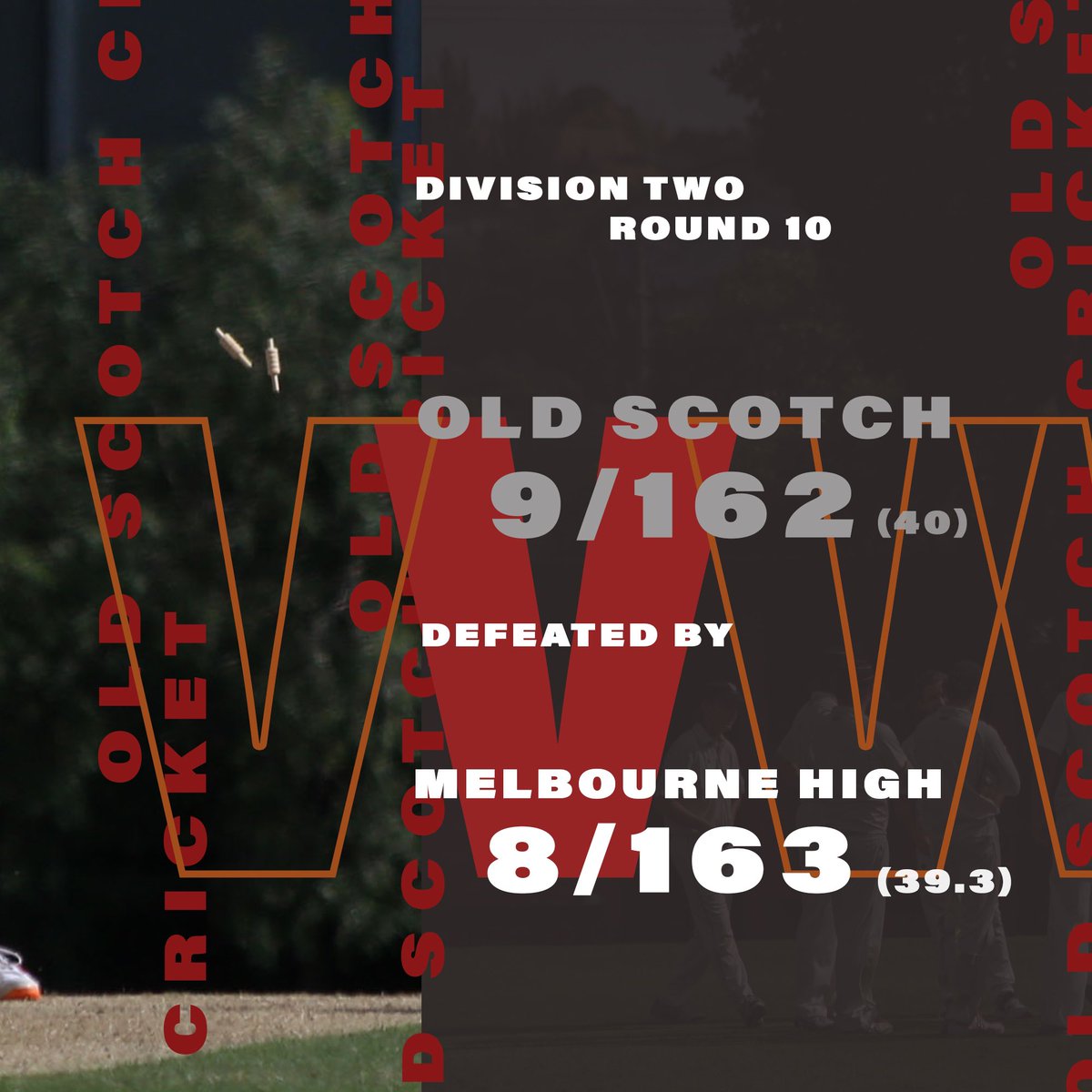 Old Scotch CC tweet media