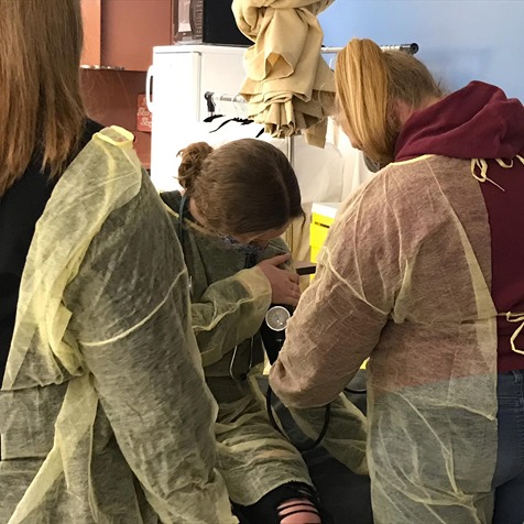 HACTC's tweet photo. Seniors practice taking blood pressure, temperature and height measurements in full PPE. #vtcte #thisiswhatlearninglookslike #vted https://t.co/ilr1uvnII1