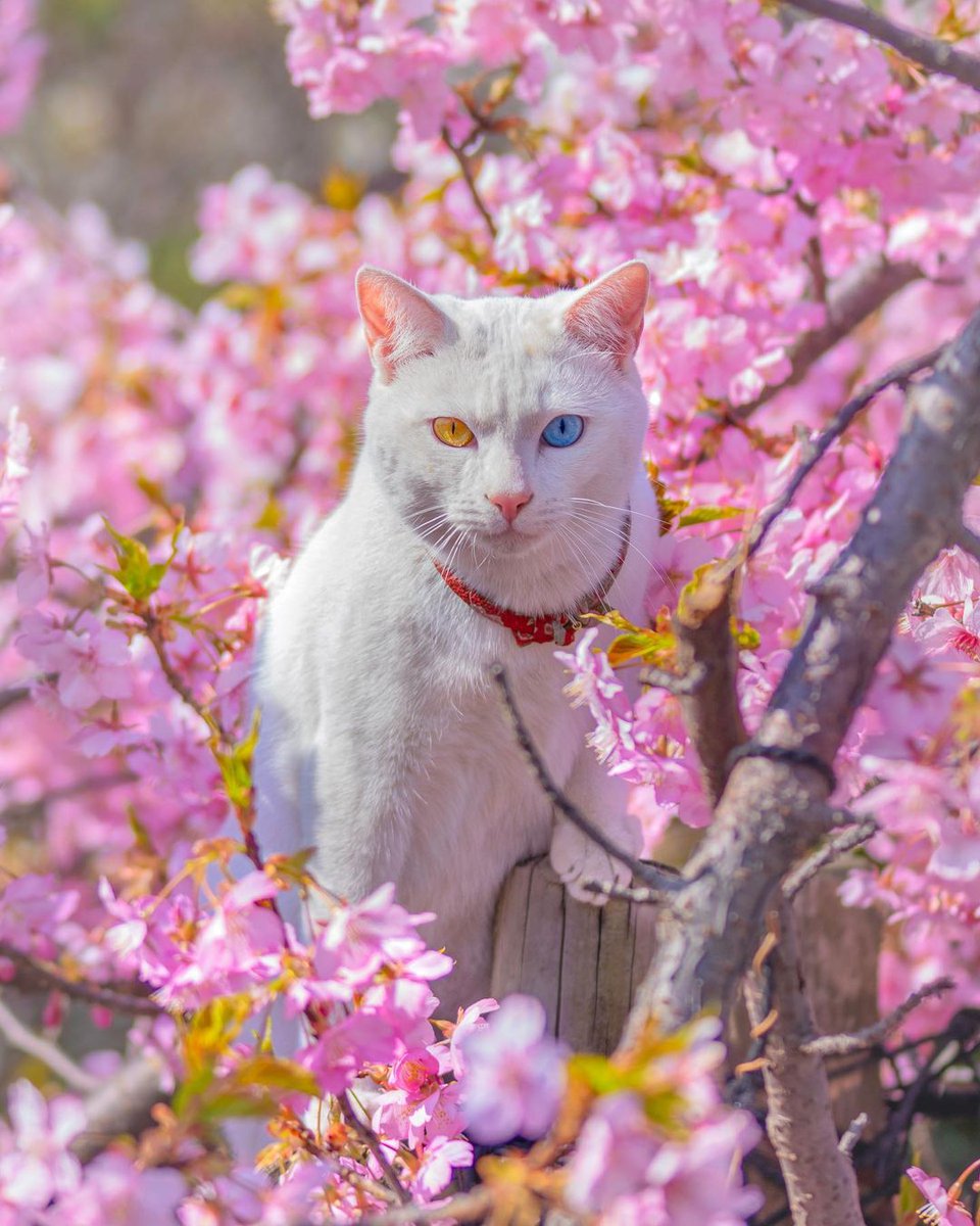 herbir san'atta yüzer mu'cize gösteren bir san'atkârın eser-i san'atı