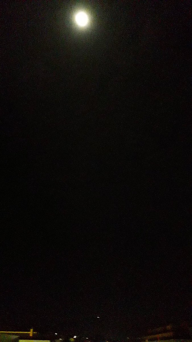 AdrycManellson's tweet photo. Weed Noche @JuanKannabia y Feliz esperamos mi Hada y yo desde #AdrycsCove.
Tu Grúa este Regalo nos dejó cuando se fue 🤣.
Y #SuperAk #SpecialDutch @IntKannabia @Kannabia_Samen de @INMAQ16 7 días #Germinación en #Sust, #Optimizando junto a sus #BigBand.
Abrazos y Besos van..🧚♂️😎 https://t.co/O7rMPouoK5