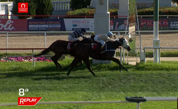 ElTurf's tweet photo. 🇨🇱Clásico Calle Quillota para hembras de 3 años y más.
1°:Princesa Alba (Gstaad II), jinete N. Ramirez, entrenador Wilfredo Mancilla, stud Papudo, criador @HarasDadinco.
Revisa su campaña aquí: https://t.co/9wnVR81e7c
#Turf #ViladelMar #Carrerasdecaballos https://t.co/s9liPw2pmc