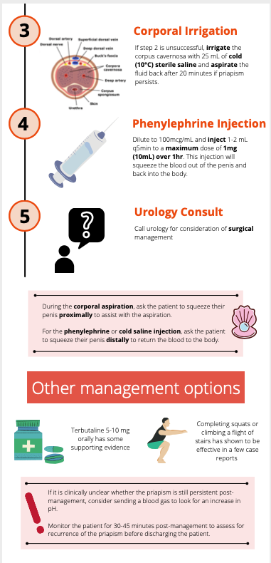 EMCases's tweet photo. Management of priapism infographic by Anuja Bhalerao based on EM Cases podcast with @yonah_krakowsky and Natalie Wolpert
  
Entire EM Cases infographic library free on Instagram: 
https://t.co/s5kQDFGJku https://t.co/G0yCmSeCK1