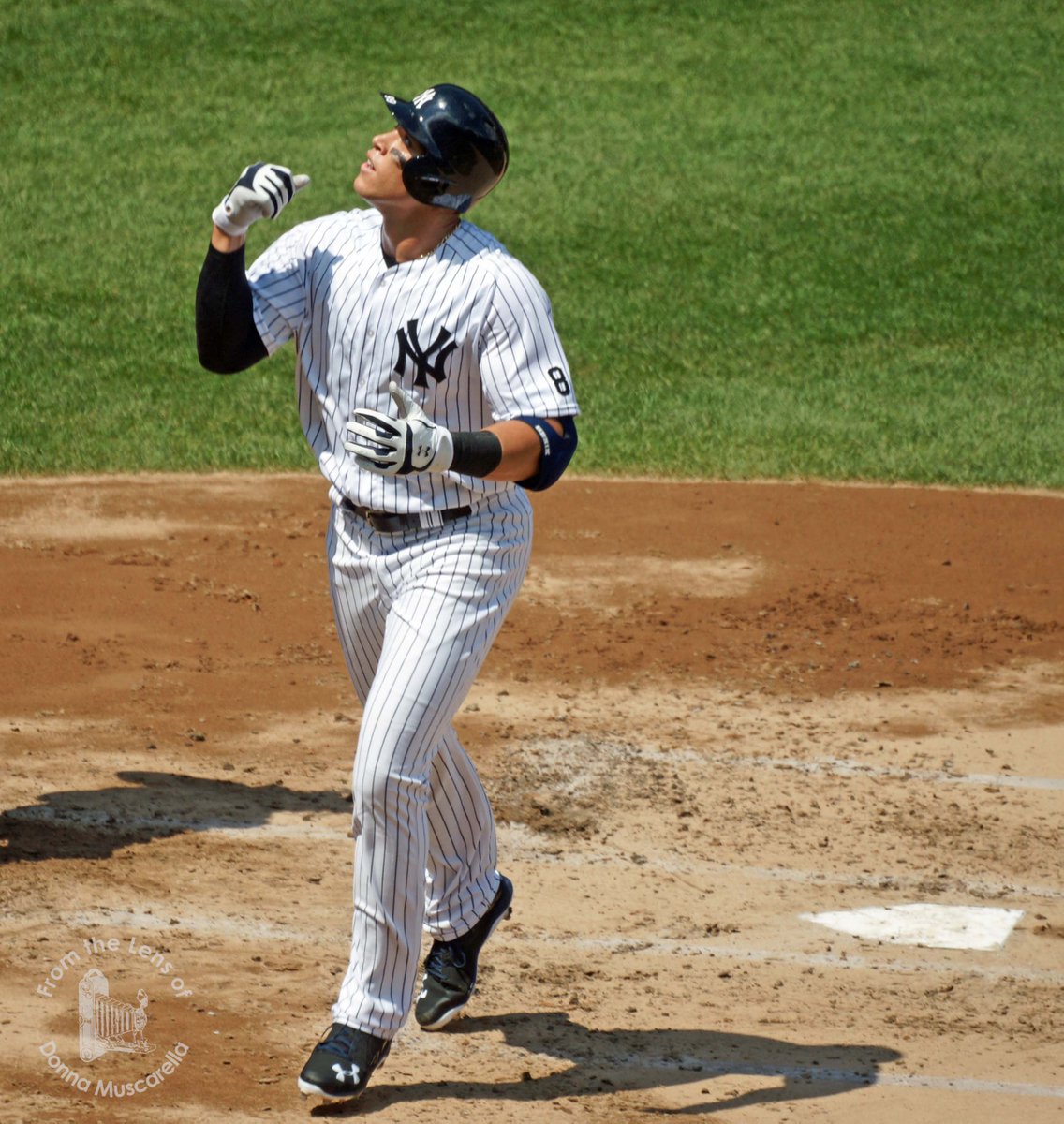 TheLensOfDonnaM's tweet photo. Inspired by @ltillustrations' first #Project70 card, I'm sharing some of my Aaron Judge photography.
#AaronJudge #JudgesChambers #Yankees #BaseballPhotography #MLB #photographer https://t.co/tP4iZ13mfk