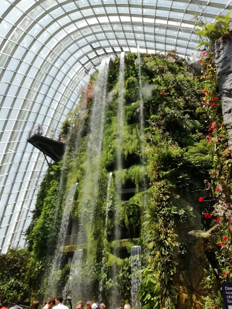 phil_burkhard's tweet photo. Cardiff has new green walled buildings @GrowCardiff  @Wales247 Look at it DIFFerently and become the City in the Garden, like Singapore! Look at #Census2021 differently, too - it's about a brighter future and not just a civic duty on 21 March. @ILovesTheDiff @futuregencymru https://t.co/o1GIZykK31