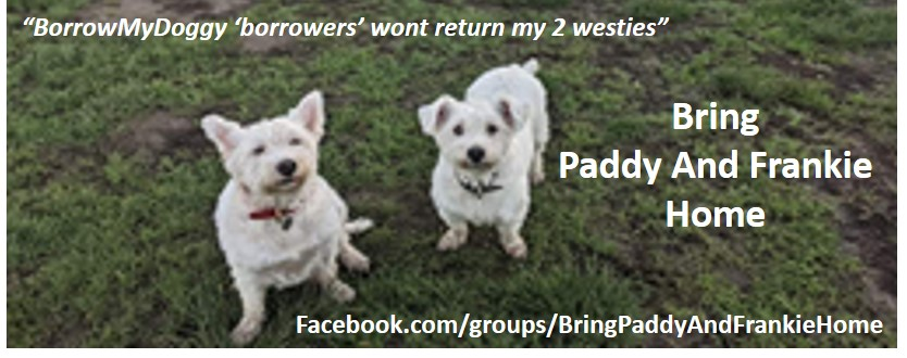 Bring Your Pet Home tweet media