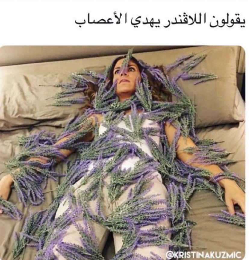 اول ما اشمو يجيني غثيان😷