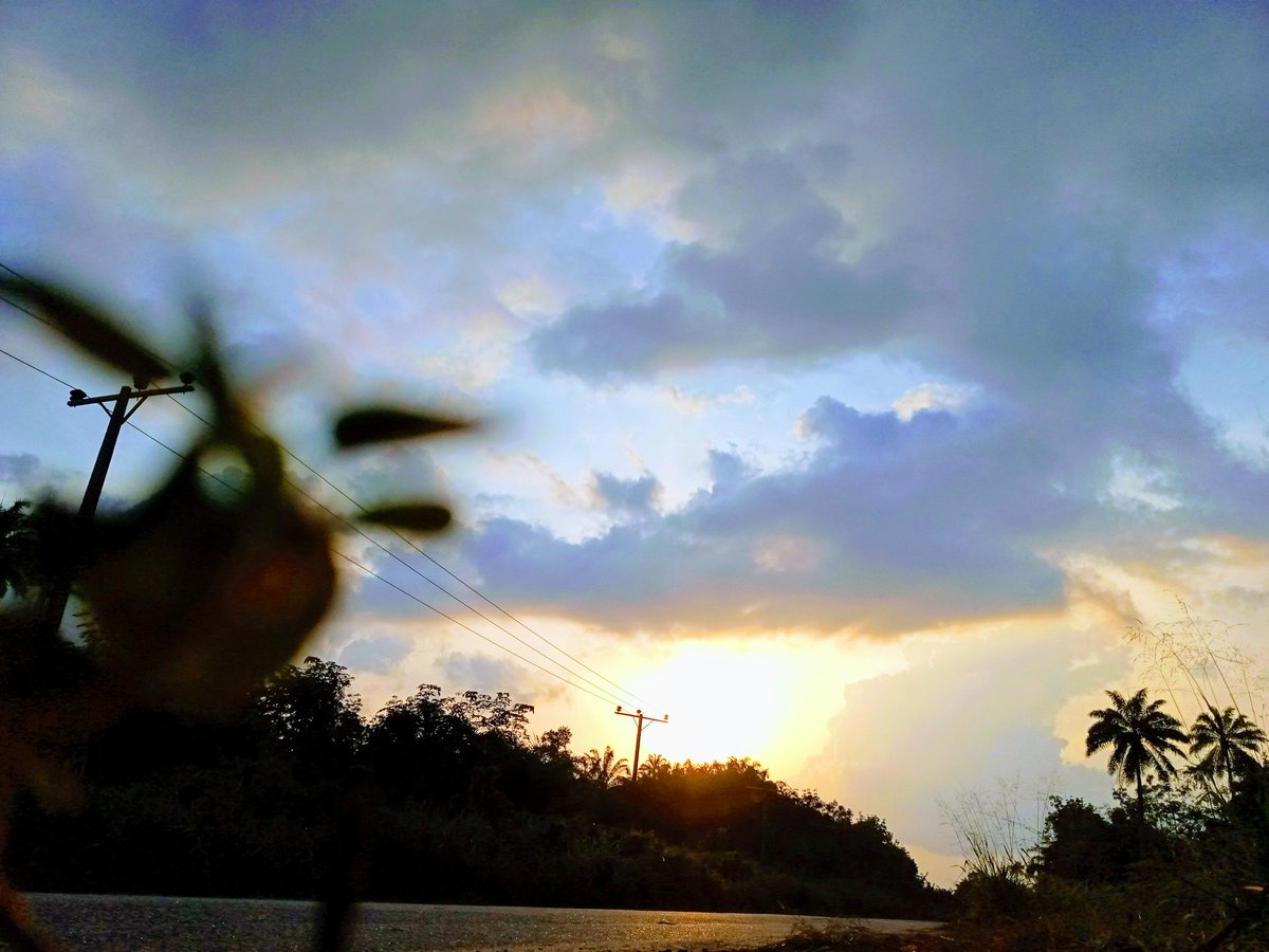 EljAhnO's tweet image. #shotonmyphone #photooftheday #StayBlessed