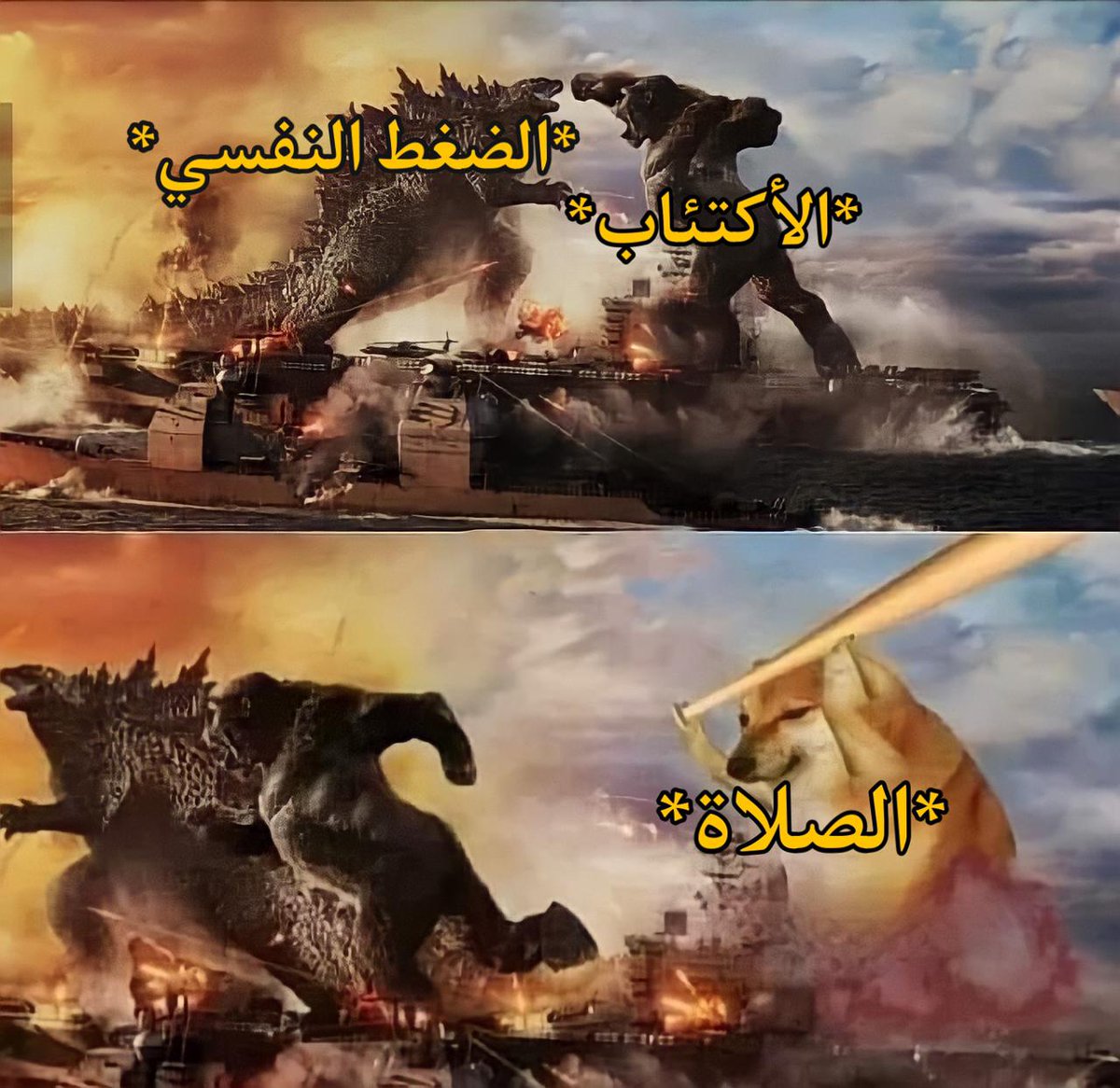Fact :