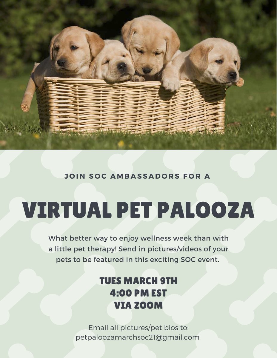 SOC_Ambassadors's tweet photo. Join SOC Ambassadors for our Wellness Week event. We will be viewing pictures and videos of pets submitted by the SOC Community. In addition to this we will be discussing what wellness means and how we achieve it in our lives. 

Please RSVP:
https://t.co/BvHNNVAdfN https://t.co/KGETEs41Vx