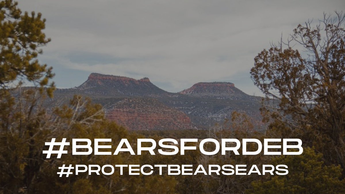 _jadebegay's tweet photo. PROTECT BEARS EARS!  #BearsForDeb  

#DebForInterior https://t.co/zWtlmlPFKk