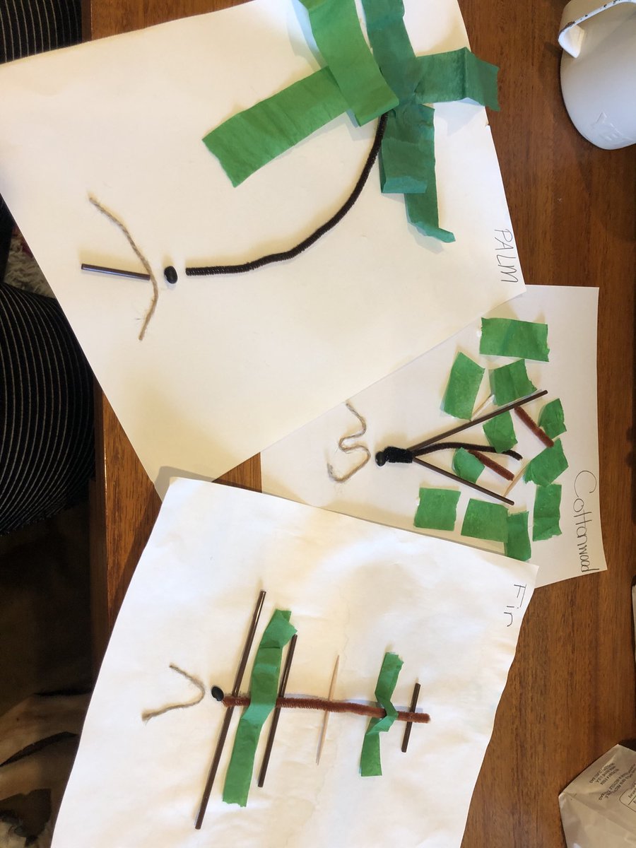 MagogoGadget's tweet image. How many trees did you grow with kindergartners today? #IamSTREAMpunk #sbsdedu #sbsdstream